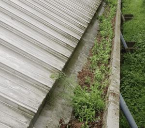 Happy customers in Stotfold who trust The Roof Moss Cleaners for gutter cleaning services