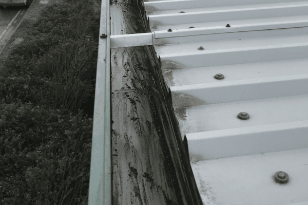 Commercial gutter cleaning specialists in Stotfold